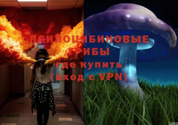гидропоника Армянск