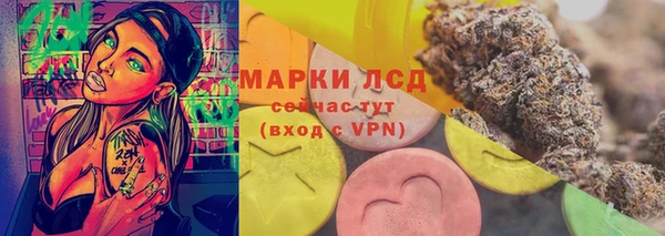 ГАЛЛЮЦИНОГЕННЫЕ ГРИБЫ Арсеньев