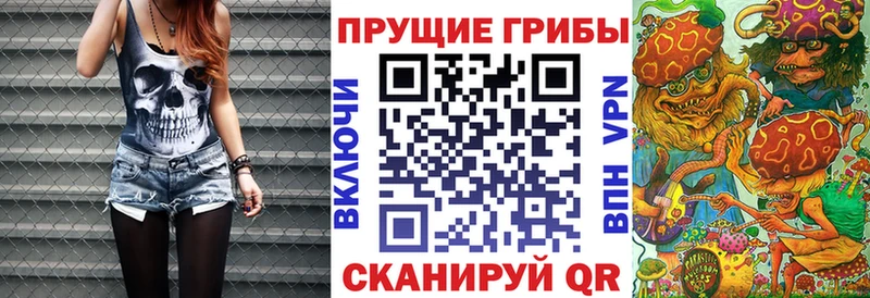Купить  Бежецк  Псилоцибиновые грибы мицелий 